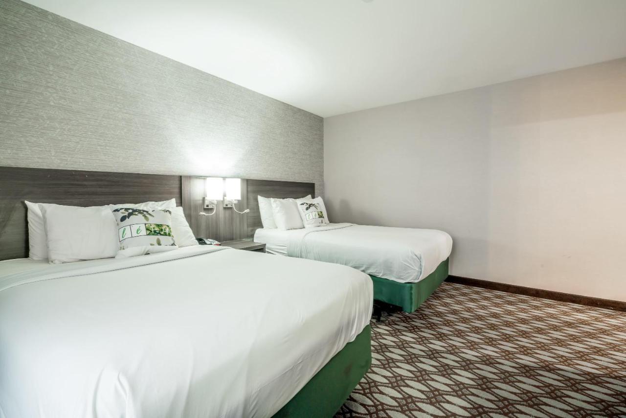 Letap Hotel Near Airtrain Jfk Airport Νέα Υόρκη Εξωτερικό φωτογραφία